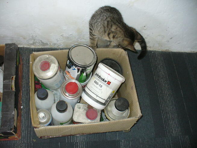 Sitodruk Karuzela + Stacja susząca flash + 70 sit + wyposaże