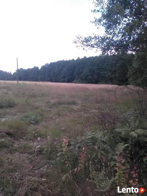 Atrakcyjna działka Dąbrowa Duża