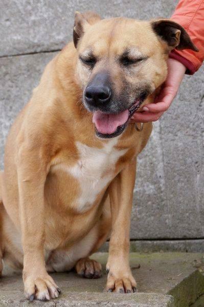 Mona - nie metryka się liczy, lecz stan ducha - adopcja