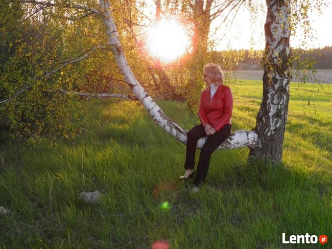 Pakiet: dom, kilka działek - jedna cena