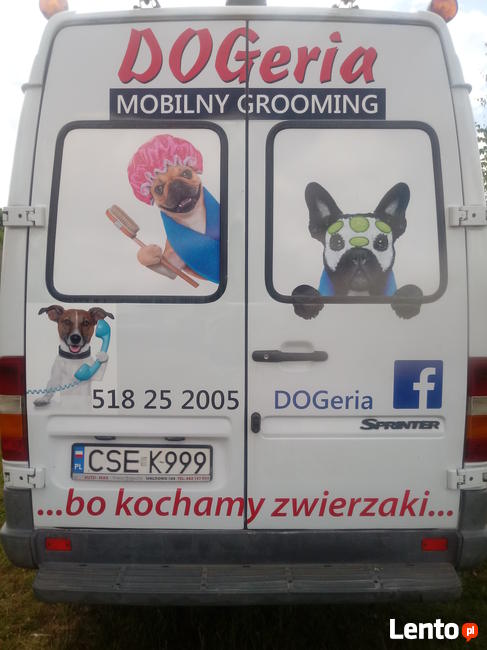 fryzjer i pielęgnacja dla psa w samochodzie, mobilny groomin
