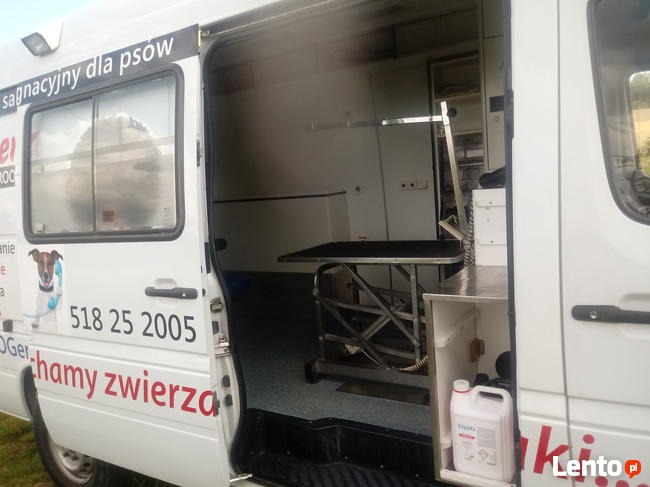 fryzjer i pielęgnacja dla psa w samochodzie, mobilny groomin