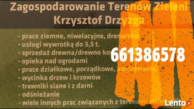 Zagospodarowanie Terenów Zieleni