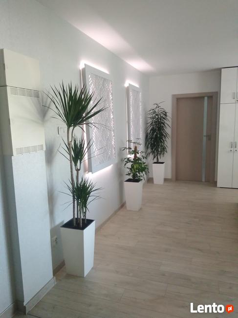 Kancelaria - adres dla radców i adwokatów ul. Dąbrowskiego