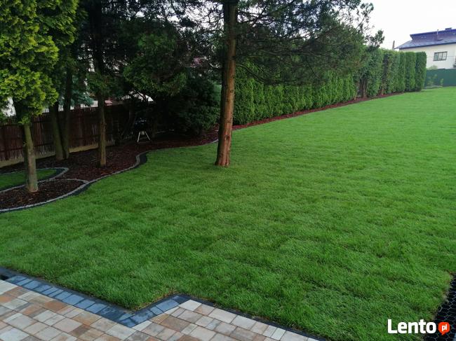 Trawniki z rolki