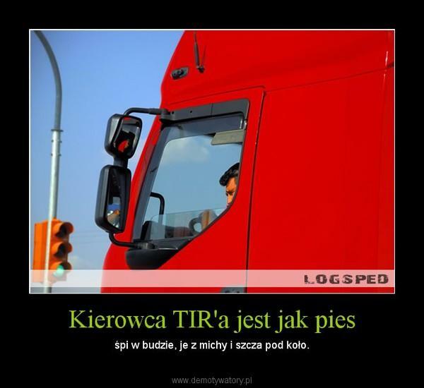 Kierowca BCE kod 95,podstawa ADR, karta kierowcy