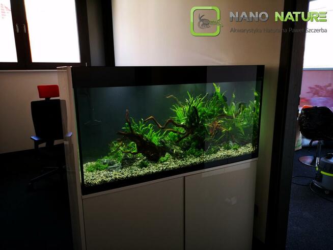 Zakładanie i serwis akwarium - Nanonature