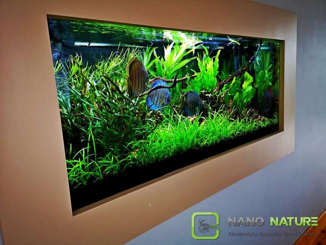 Zakładanie i serwis akwarium - Nanonature
