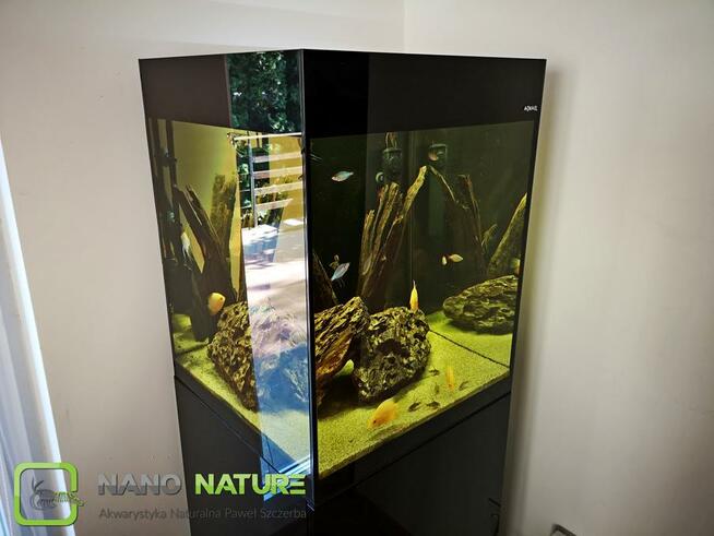 Zakładanie i serwis akwarium - Nanonature