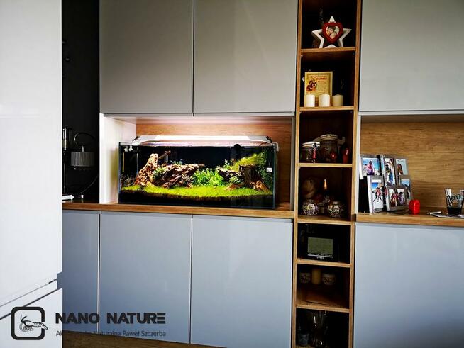 Zakładanie i serwis akwarium - Nanonature