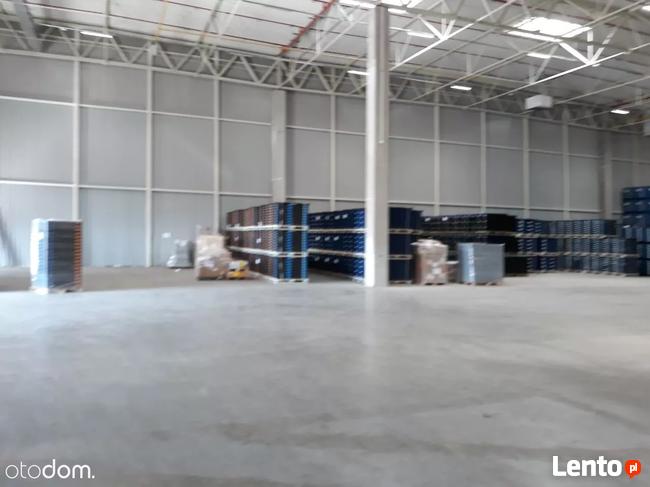 Hala / Magazyn, 13 000 m², Białystok