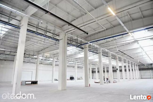 Hala/Magazyn, 6 300 m², Gdańsk