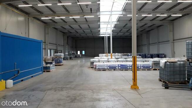 Hala/Magazyn, 10 500 m², Gdańsk