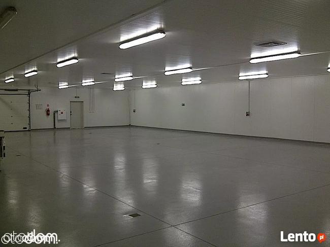 Hala / Magazyn, 13 000 m², Białystok