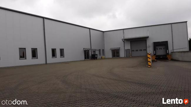 Hala / Magazyn, 13 000 m², Białystok