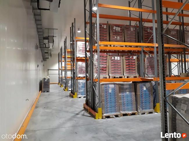 Hala / Magazyn, 20 000 m², Białystok