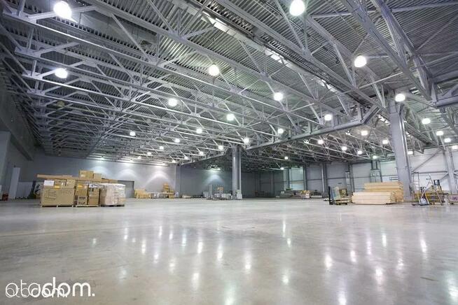 Hala/Magazyn, 10 500 m², Gdańsk