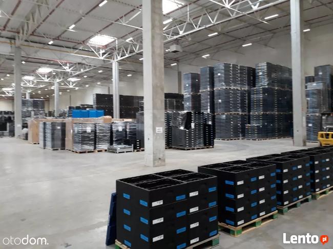 Hala / Magazyn, 20 000 m², Białystok