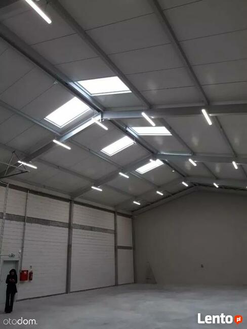 Hala/Magazyn, 6 300 m², Gdańsk