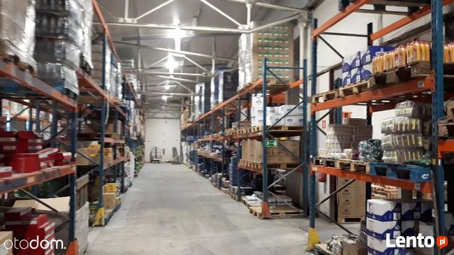 Hala/Magazyn, 2 300 m², Bronisze