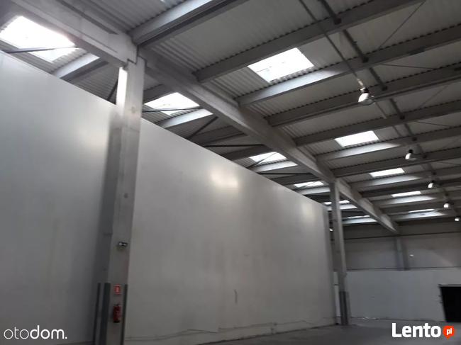 Hala/Magazyn, 1 240 m², Białystok