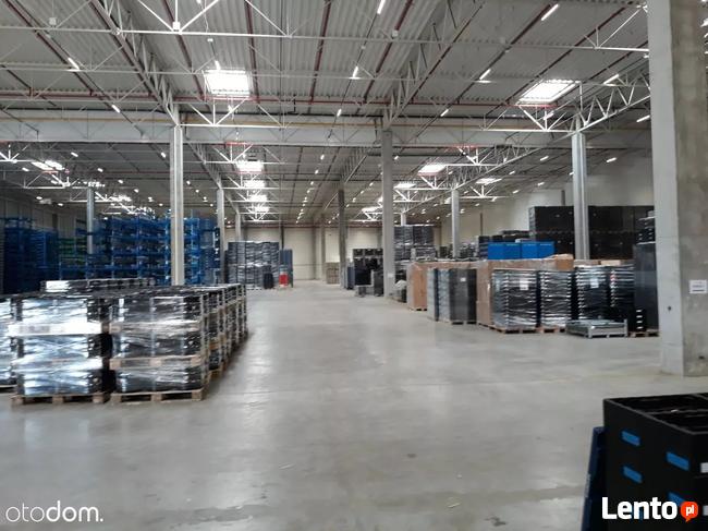 Hala/Magazyn, 2 500 m², Wrocław