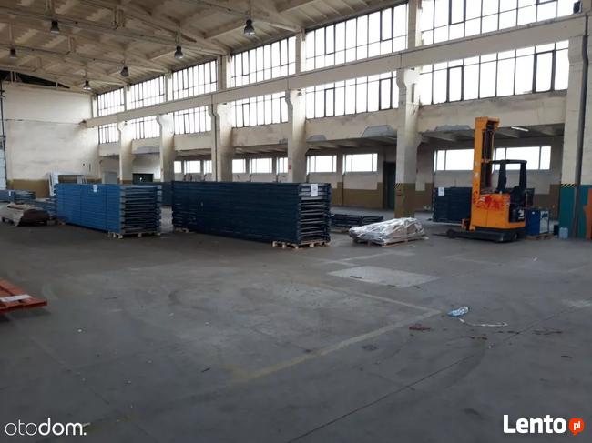Hala/Magazyn, 1 160 m², Ożarów Mazowiecki