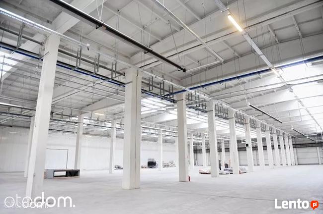 Hala/Magazyn, 2 500 m², Wrocław