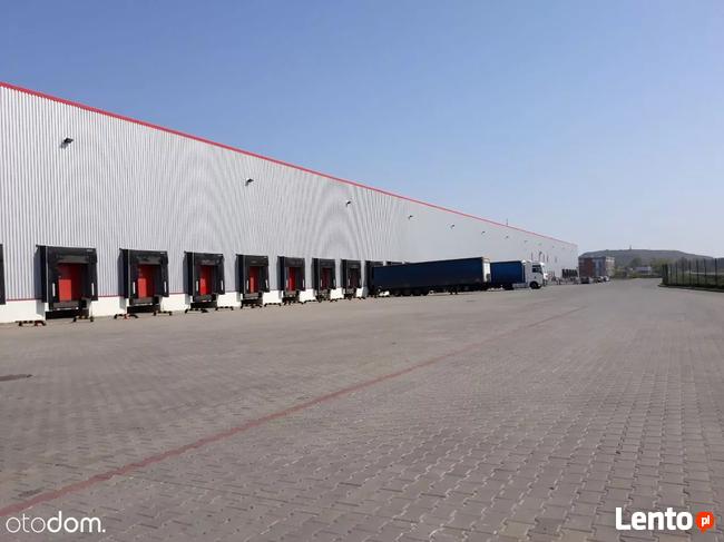 Hala/Magazyn, 2 160 m², Marki, Warszawa