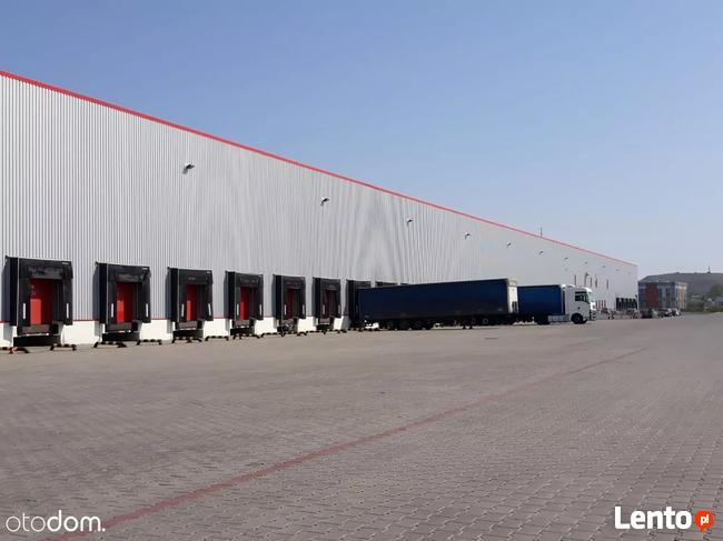 Hala/Magazyn, 2 500 m², Wrocław