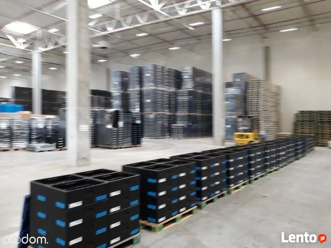 Hala/Magazyn, 2 500 m², Wrocław