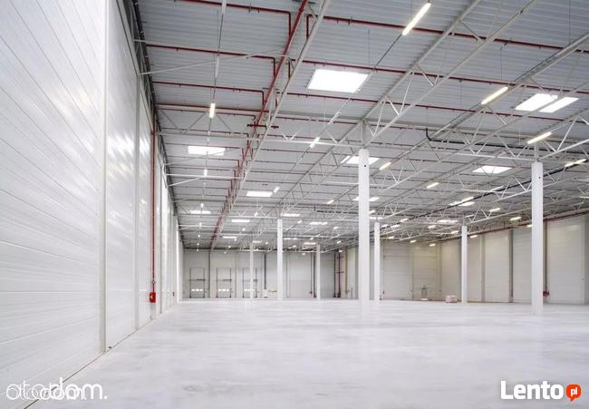 Hala/Magazyn, 2 597 m², Bielsko-Biała