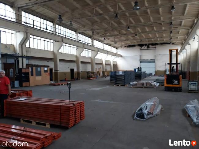 Hala/Magazyn, 1 160 m², Ożarów Mazowiecki