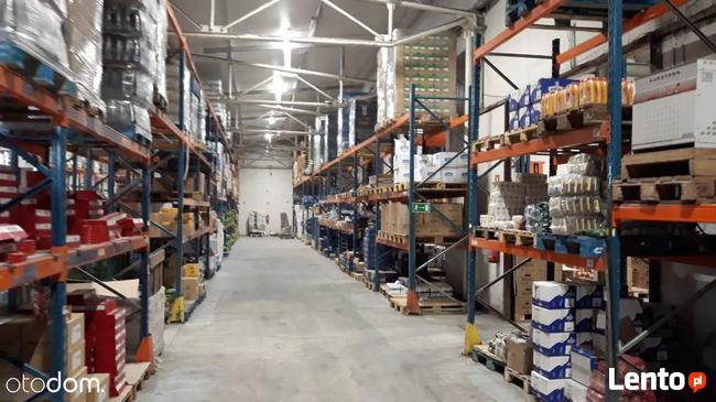 Hala/Magazyn, 2 300 m², Bronisze