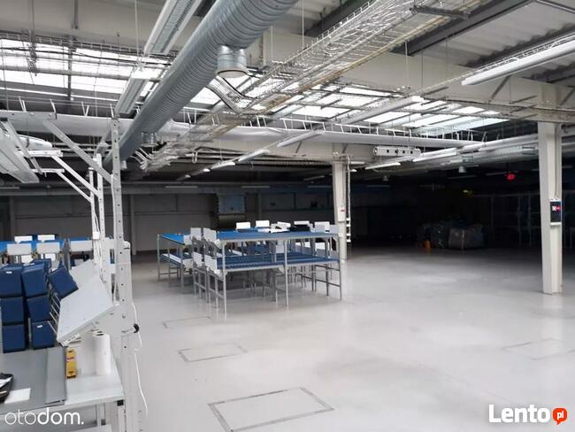 Hala/Magazyn, 1 143 m², Duchnice