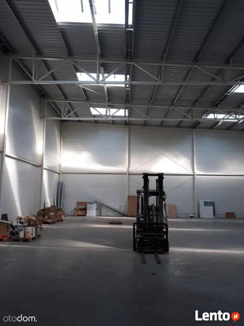 Hala/Magazyn, 2 597 m², Bielsko-Biała