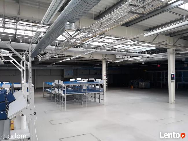 Hala/Magazyn, 1 143 m², Duchnice