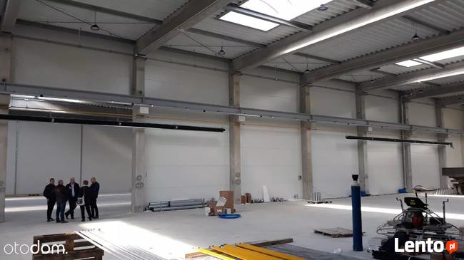 Hala/Magazyn, 2 000 m², Kalisz - BEZPOŚREDNIO