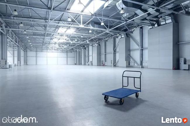 Hala/Magazyn, 2 300 m², Bronisze