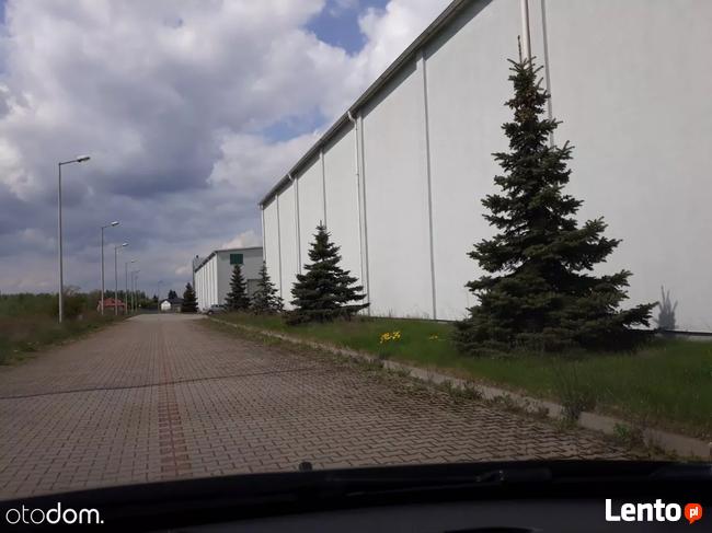 Hala/Magazyn, 700 m², Ożarów Mazowiecki