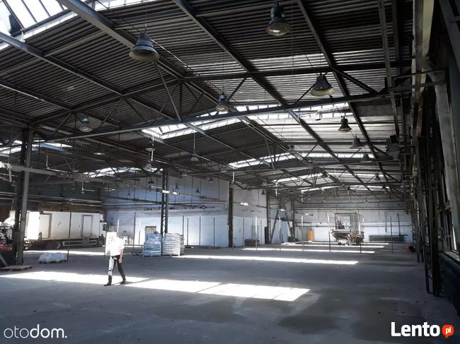 Hala/Magazyn, 1 620 m², Katowice