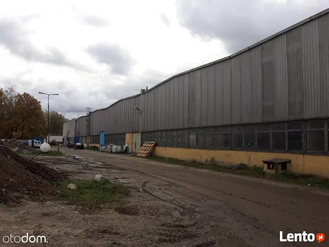 Hala/Magazyn, 2 339 m², Marki