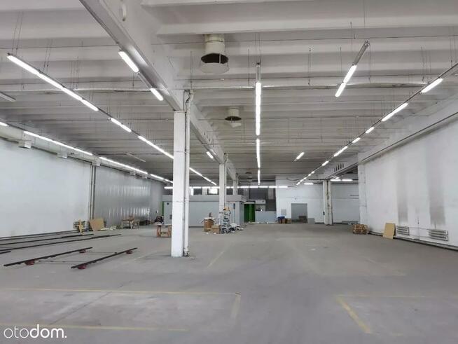 Hala/Magazyn, 1 200 m², Warszawa