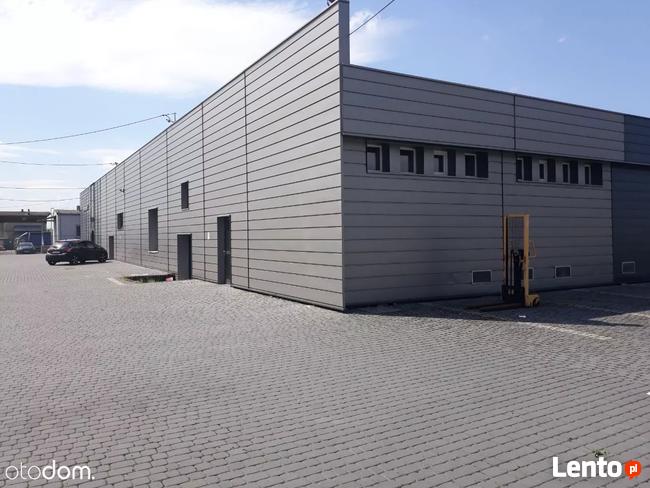 Hala/Magazyn, 3 240 m², Radzymin