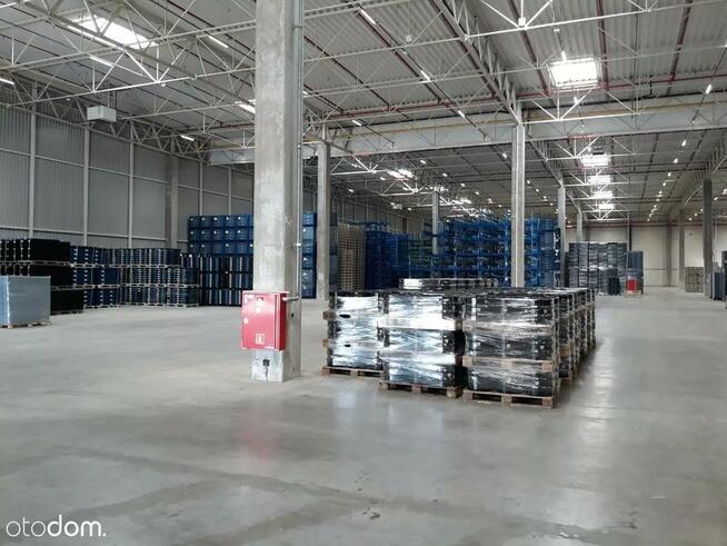 Hala/Magazyn, 8 100 m², Jawczyce