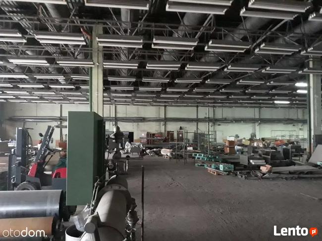 Hala/Magazyn, 6 800 m², Pruszków