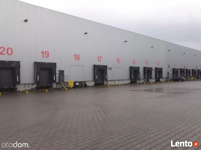 Hala/Magazyn, 8 684 m², Mysłowice