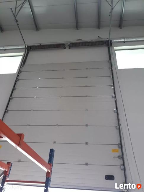 Hala/Magazyn, 30 000 m², Marki - Warszawa