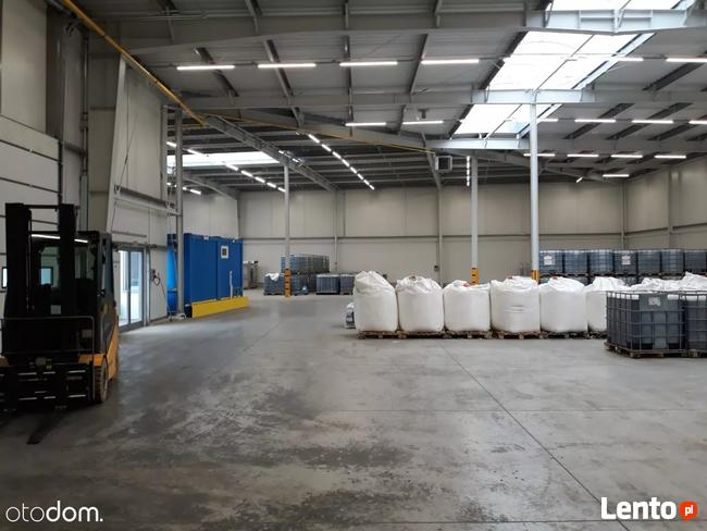 Hala/Magazyn, 6 000 m², Białystok