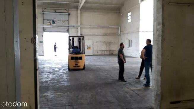 Hala/Magazyn, 1 200 m², Warszawa